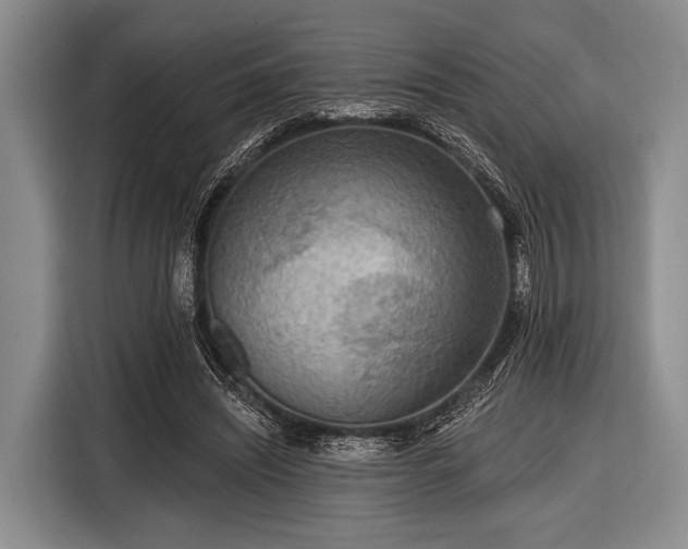 X0000116550444200912171352