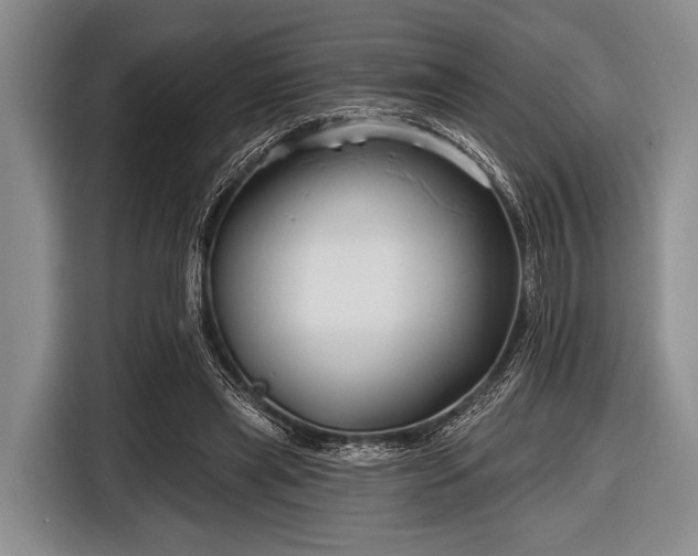 X0000116550445200912171352