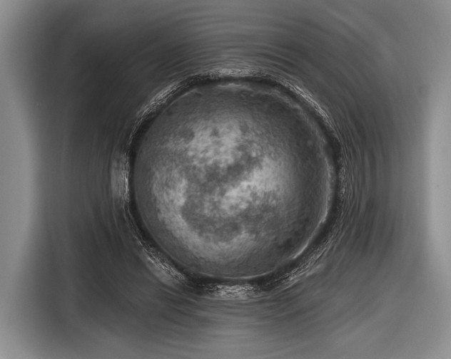 X0000116550446200912171352