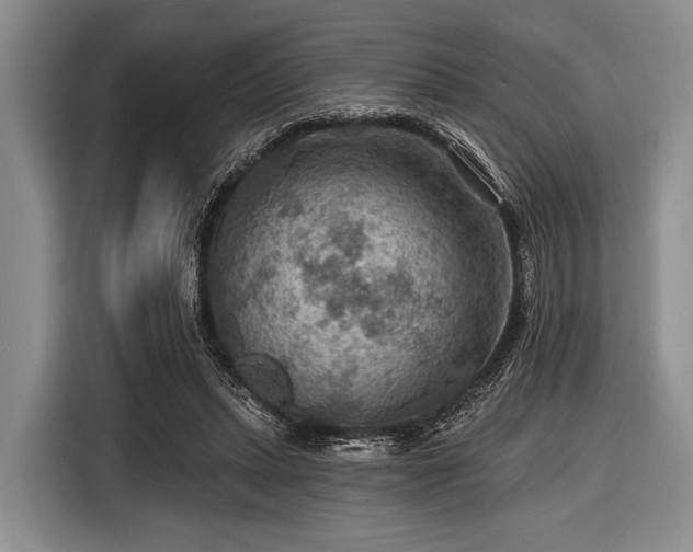 X0000116550447200912171352