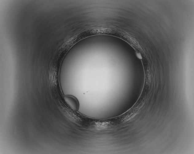 X0000116550450200912171352