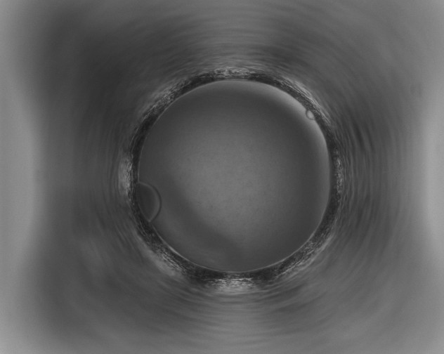 X0000116550451200912171352