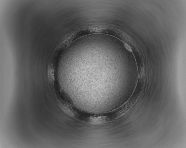 X0000116550452200912171352