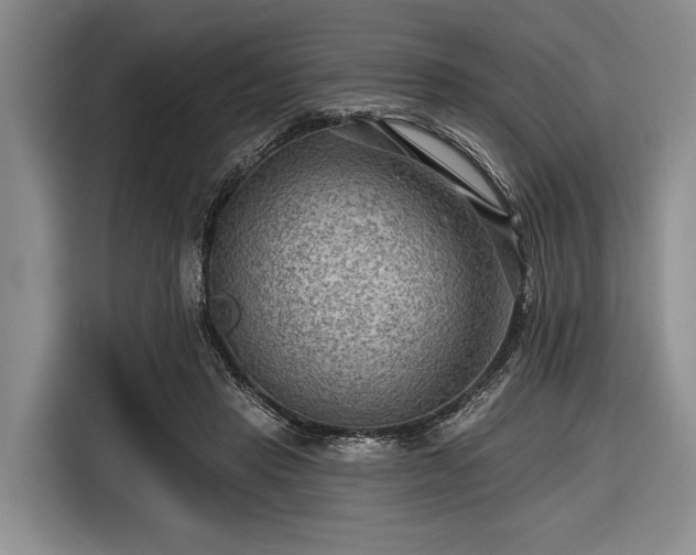 X0000116550453200912171352