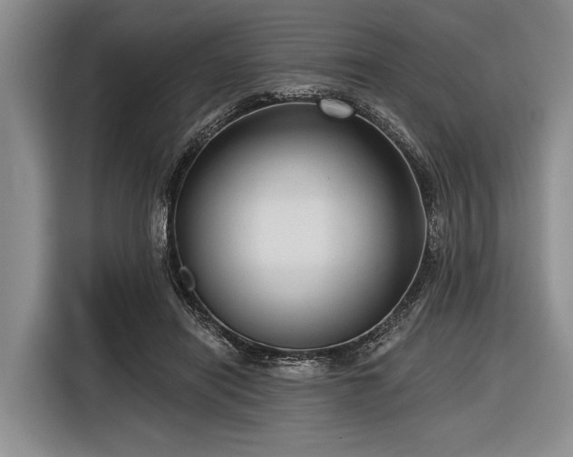 X0000116550454200912171352