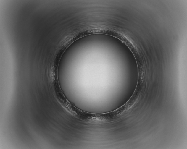 X0000116550455200912171352