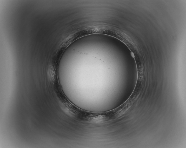 X0000116550456200912171352