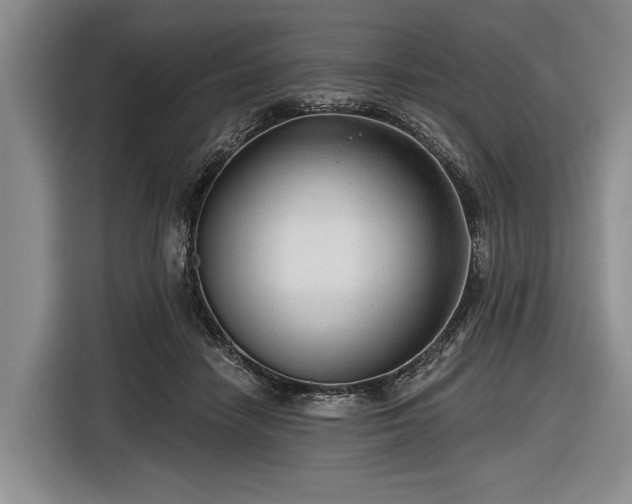 X0000116550458200912171352