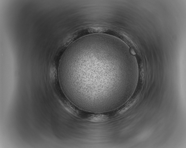 X0000116550459200912171352