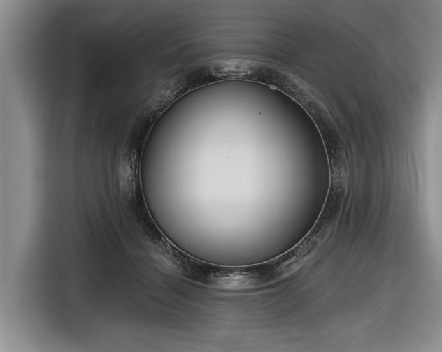 X0000116550460200912171352