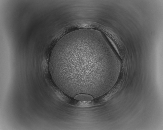 X0000116550461200912171352