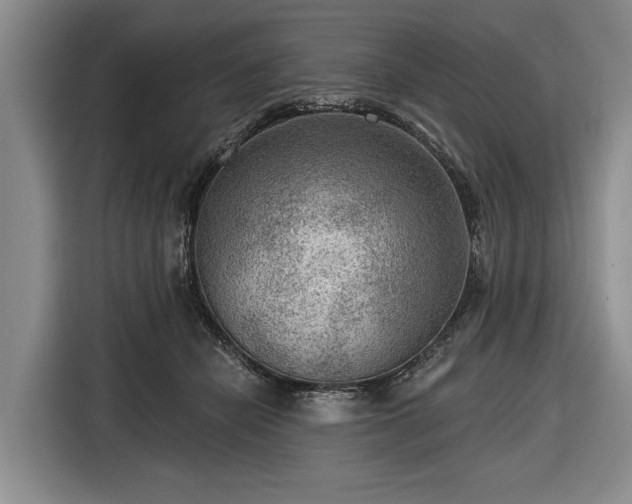 X0000116550462200912171352