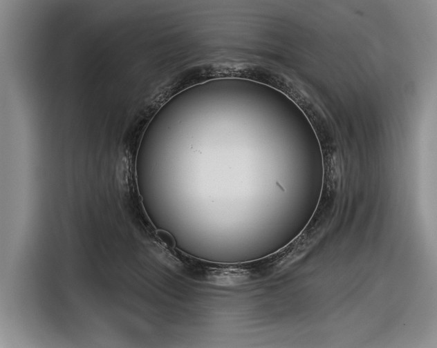 X0000116550463200912171352