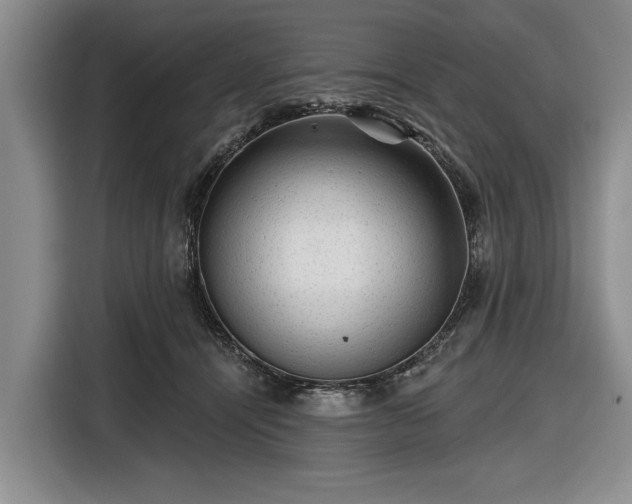 X0000116550464200912171352