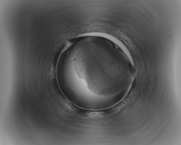 X0000116550465200912171352