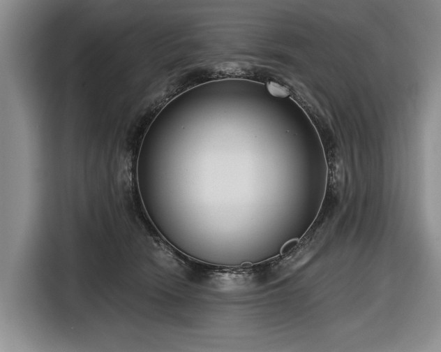 X0000116550466200912171352