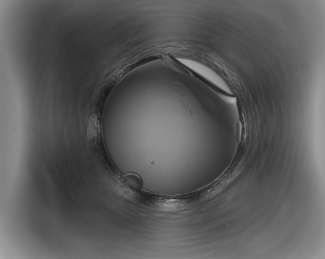 X0000116550467200912171352