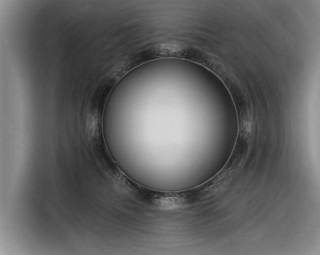 X0000116550468200912171352