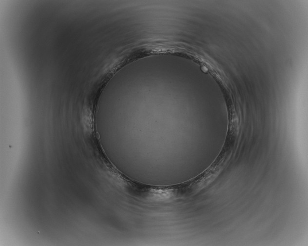 X0000116550469200912171352