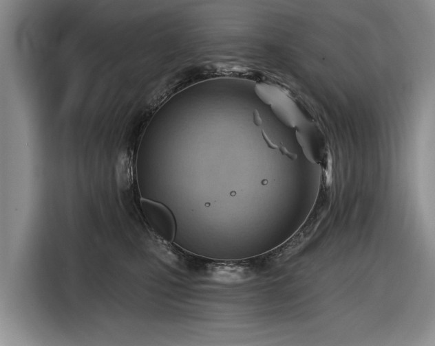 X0000116550471200912171352