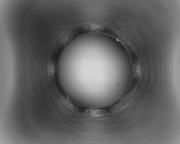 X0000116550472200912171352