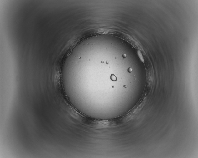 X0000116550473200912171352