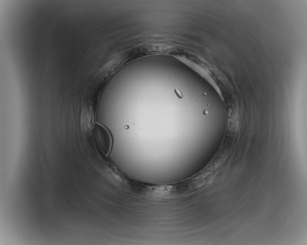 X0000116550474200912171352