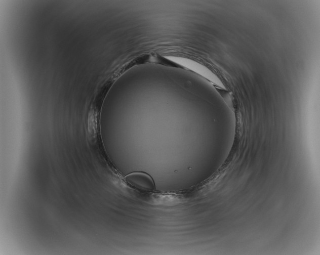 X0000116550475200912171352