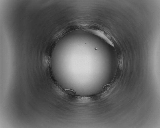 X0000116550476200912171352