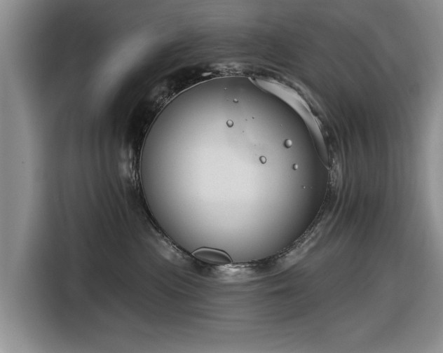 X0000116550477200912171352