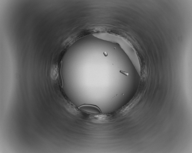 X0000116550478200912171352