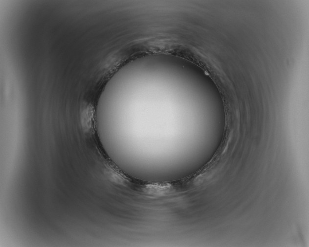 X0000116550480200912171353