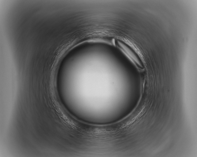 X0000116550481200912171352