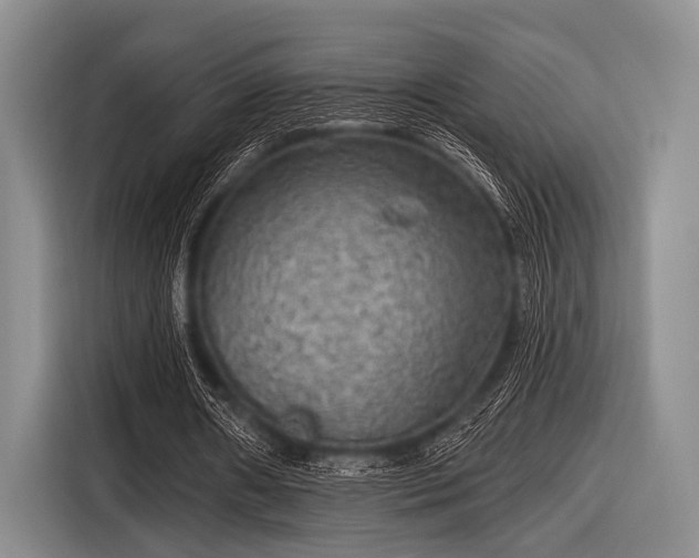 X0000116550482200912171352