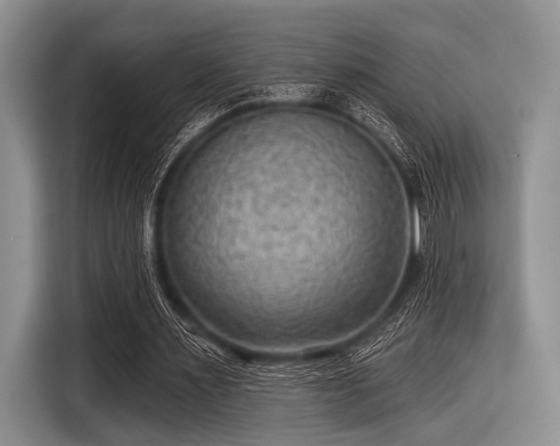 X0000116550483200912171352