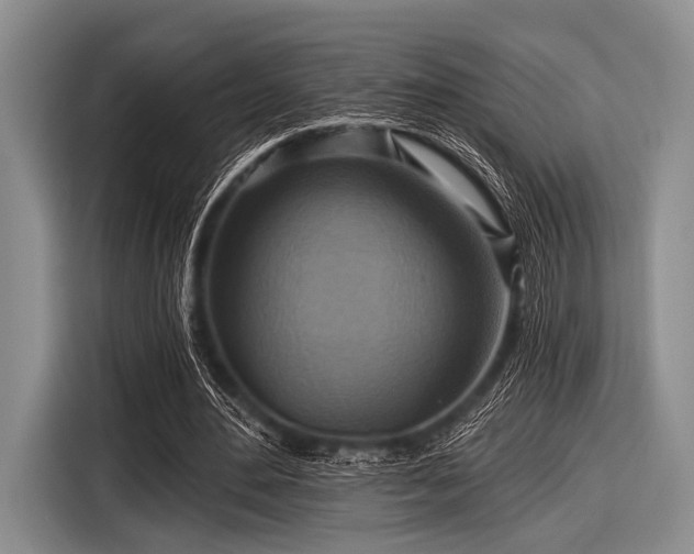 X0000116550484200912171352