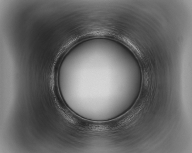 X0000116550486200912171352