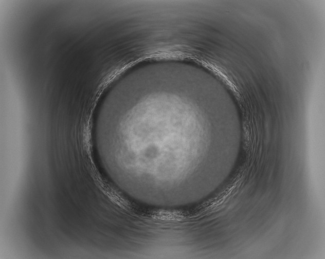 X0000116550487200912171352