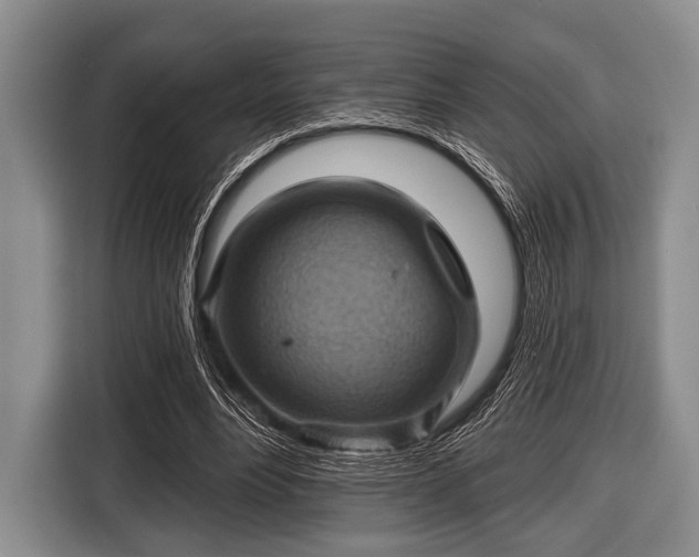 X0000116550488200912171352