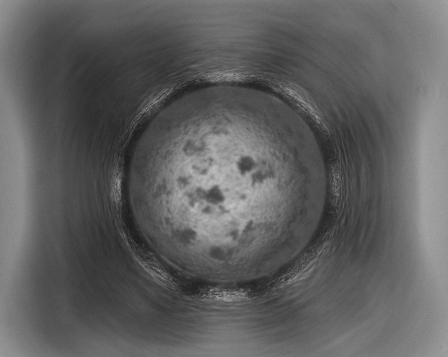 X0000116550491200912171352