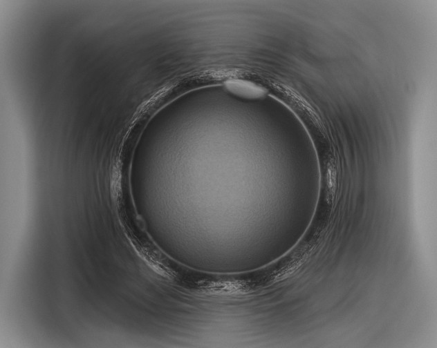 X0000116550492200912171352