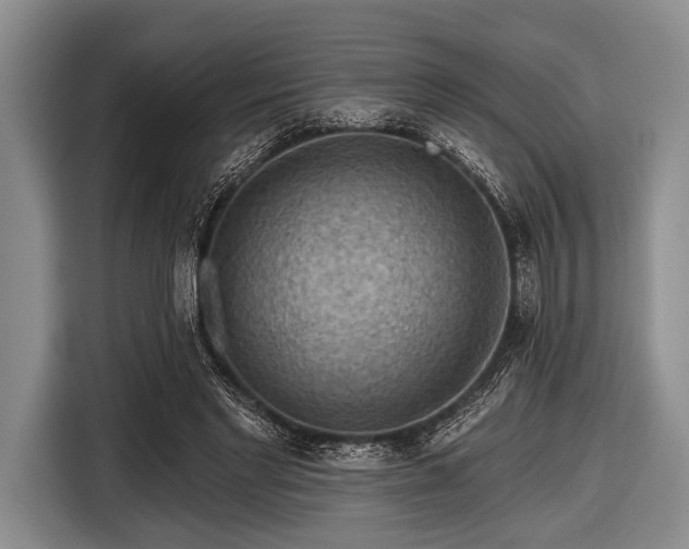 X0000116550493200912171352