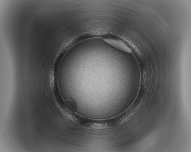 X0000116550494200912171352