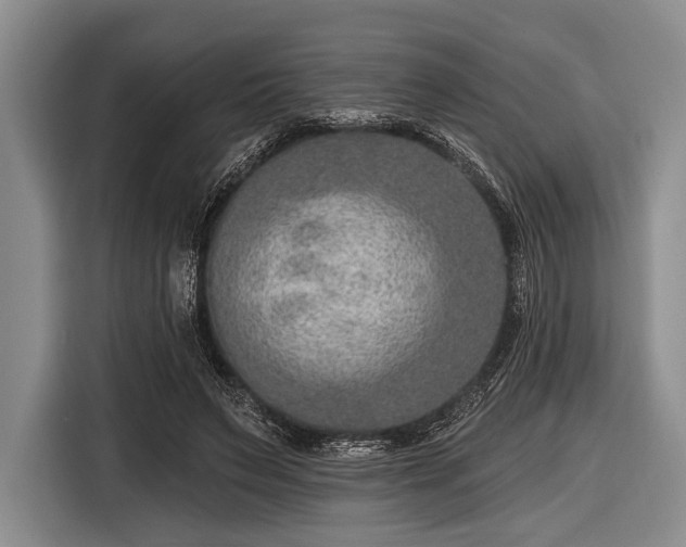 X0000116550495200912171352