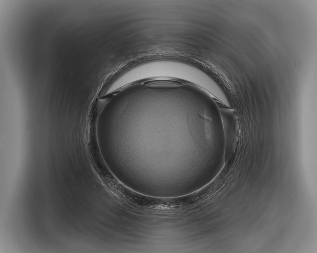 X0000116550496200912171352