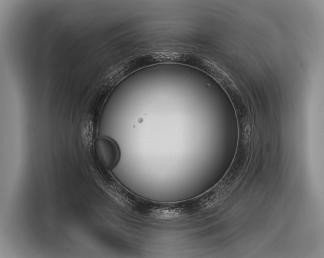 X0000116550498200912171352