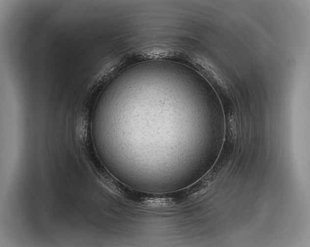 X0000116550499200912171352