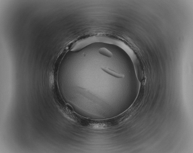 X0000116550500200912171352