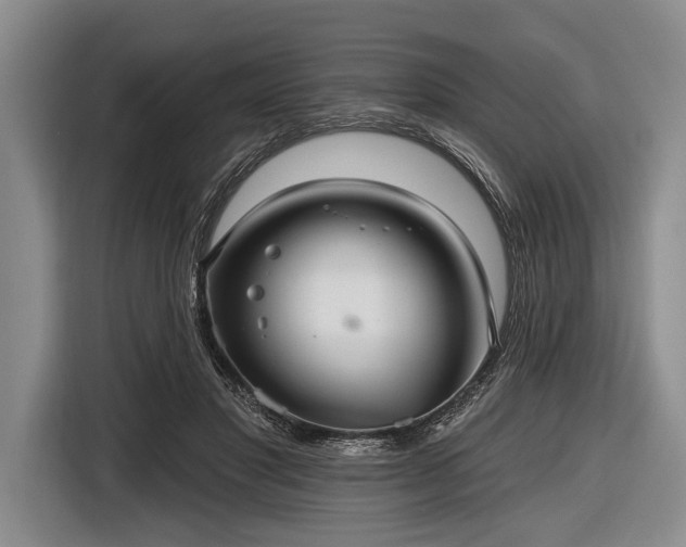 X0000116550501200912171352