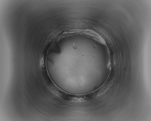 X0000116550502200912171352